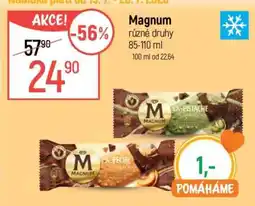 Globus Magnum různé druhy nabídka
