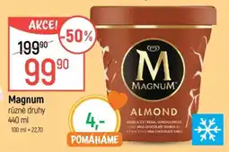Globus Magnum různé druhy 440 ml nabídka