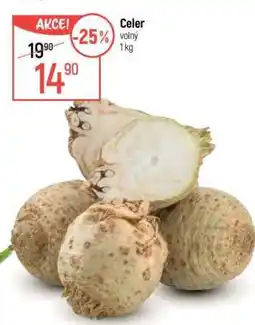Globus Celer volný nabídka