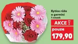 Kaufland Kytice růže a germini nabídka