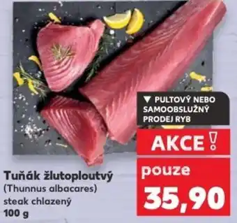 Kaufland Tuňák žlutoploutvý nabídka