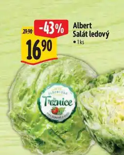 Albert Albert Salát ledový 1 ks nabídka