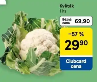 Tesco Květák nabídka