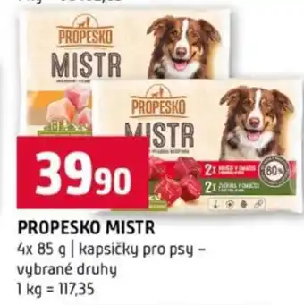 Terno Propesko Mistr nabídka