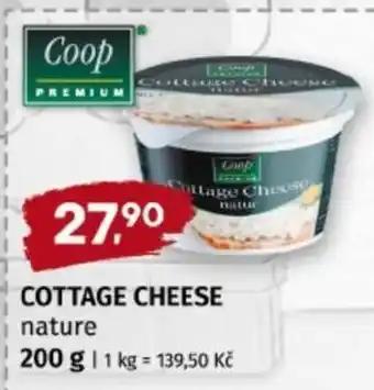 Terno Cottage Cheese nature nabídka