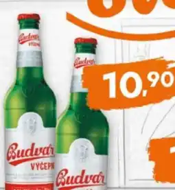 Terno Budvar výčepní nabídka
