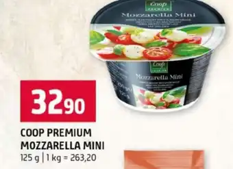 Terno COOP PREMIUM MOZZARELLA MINI nabídka