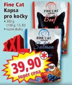 Norma Fine Cat Kapsa pro kočky nabídka