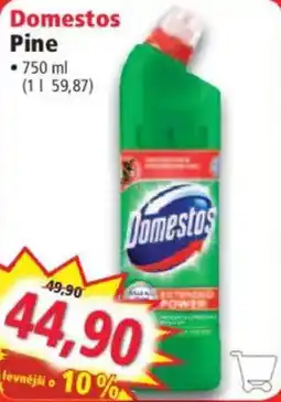 Norma Domestos Pine nabídka