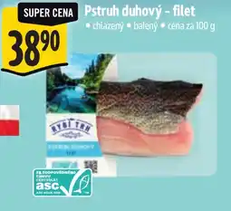 Albert Pstruh duhový - filet nabídka