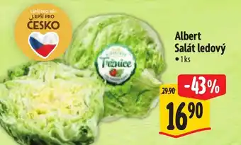 Albert Albert Salát ledový nabídka