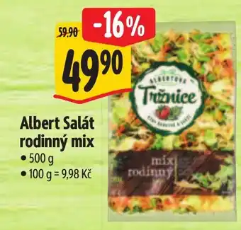 Albert Albert Salát rodinný mix nabídka