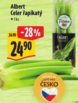 Albert Albert Celer řapíkatý nabídka