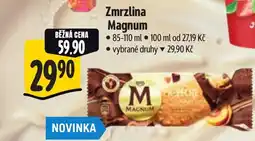 Albert Zmrzlina Magnum nabídka