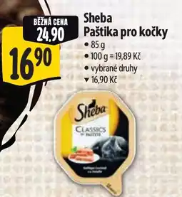 Albert Sheba Paštika pro kočky nabídka