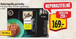 Albert Sheba Kapsičky pro kočky nabídka