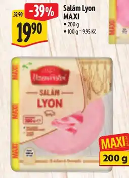 Albert Salám Lyon Maxi nabídka