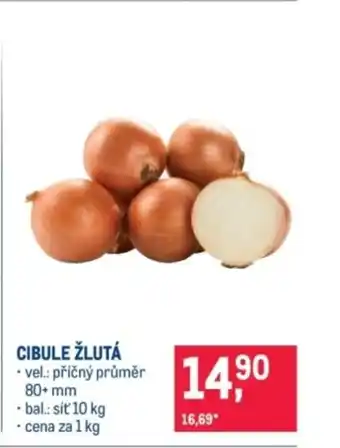 Cibule žlutá