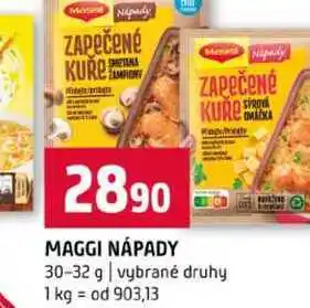 Terno MAGGI NÁPADY 30-32 g vybrané druhy nabídka