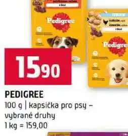 Terno PEDIGREE 100 g kapsička pro psy vybrané druhy nabídka