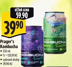 Albert Prager's Kombucha nabídka