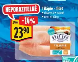 Albert Tilápie filet nabídka