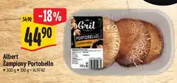 Albert Albert Zampiony Portobello nabídka