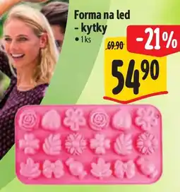 Albert Forma na led - kytky nabídka