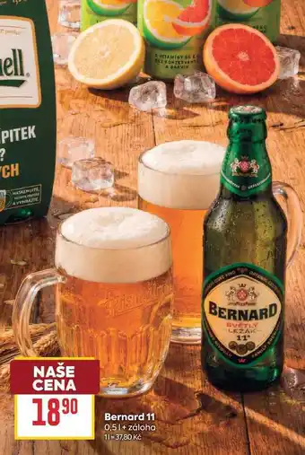 Bernard 11