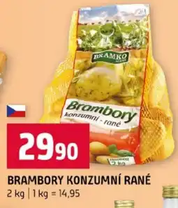 Terno Brambory konzumní rané nabídka