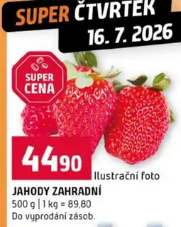 Terno Jahody zahradní nabídka