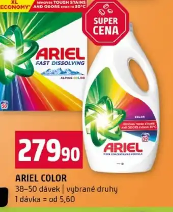 Terno Ariel color nabídka