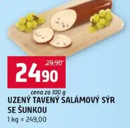 Terno Uzený tavený salámový sýr se šunkou nabídka