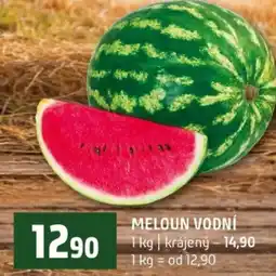 Terno Meloun vodní nabídka
