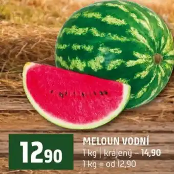 Terno Meloun vodní nabídka
