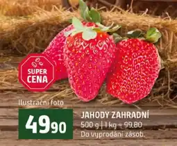 Terno Jahody zahradní nabídka