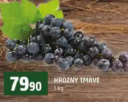 Terno Hrozny tmavé nabídka