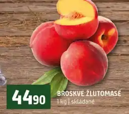 Terno Broskve žlutomasé nabídka