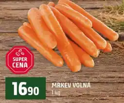 Terno Mrkev volná nabídka