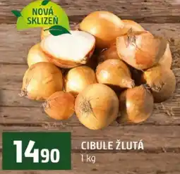 Terno Cibule žlutá nabídka