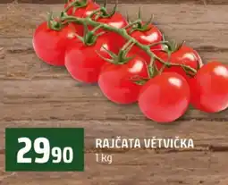 Terno Rajčata větvička nabídka