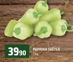 Terno Paprika světlá nabídka