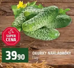 Terno Okurky nakládačky nabídka