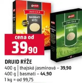 Terno Druid rýže nabídka