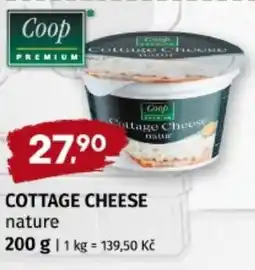 Terno Cottage cheese nabídka