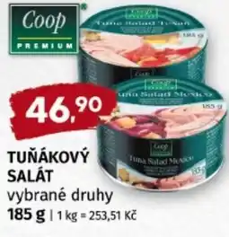 Terno Tuňákový salát nabídka