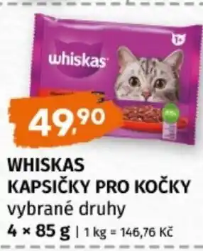 Terno Whiskas kapsičky pro kočky nabídka