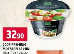 Terno Coop premium mozzarella mini nabídka