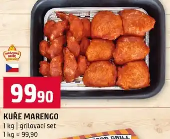 Terno Kuře marengo nabídka