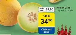 Tesco Meloun Galia nabídka